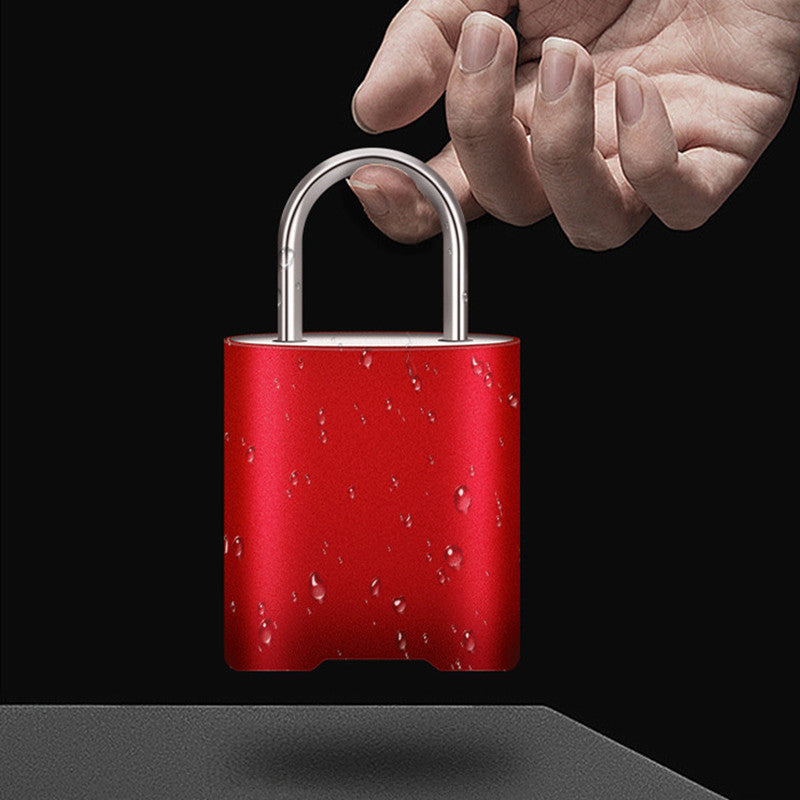 CE/ROHS Certification Intelligent Fingerprint Electronic Padlock APP/Fingerprint Unlock Outdoor Waterproof Student Cabinet Anti-theft Metal Small Padlock USB Charging Door Lock