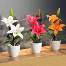 Egrow 100Pcs/Pack White Red Lily Flower Seeds Home Garden Potted Plants Bonsai Seeds
