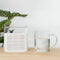 SOTHING Portable Plant Air Dehumidifier 150ml Rechargeable Reuse Air Dryer Moisture Absorber