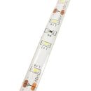 5M 300 SMD 3014 White/Warm White Waterproof LED Strip Light DC 12V