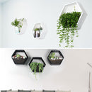 Hexagon Hanging Wall Basket Plant Flower Pot Box for Home Balcony GardenDecorations