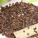 Egrow 50Pcs/Pack Grape Seeds Rainbow Colorful Garden Fruit Plants Sweet Kyoho Grape Seeds