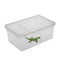 Transparent Plastic Box Insect Reptile Transport Breeding Live Food Feeding Box Parts Storage Box