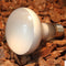 E27 25W 40W 60W 75W 100W UVA Light Bulb Reptile Pet Terrarium Brooder Heater Lamp AC220-240V