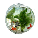 Acrylic Aquarium Fish Tank Wall Mounted Hanging Plant Pot Grow Vase Home Decor