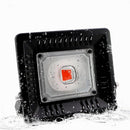 ARILUX AC220-240V/AC110V 30W/50W Full Spectrum COB LED Plant Grow Flood Light Waterproof Ultra Thin