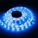 2M 36W DC 12V 120 SMD 5630 Waterproof White/Warm White Red/Green/Blue LED Strip Flexible Light
