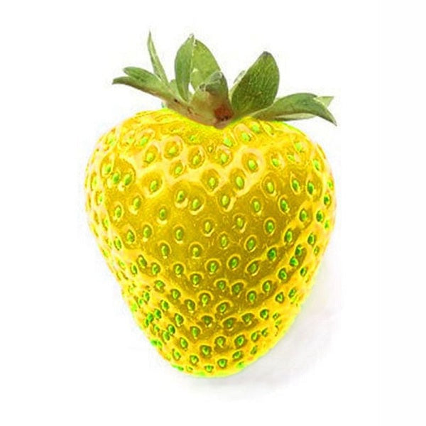 500Pcs Yellow Strawberry Seeds Garden Seeds Fruit Seeds