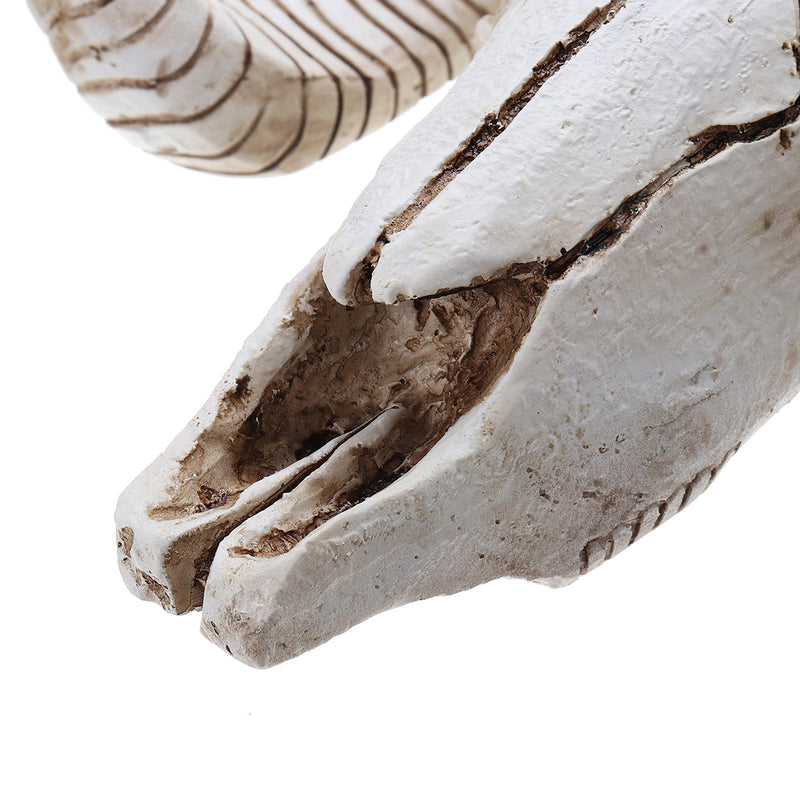 Skull Sheep Head Realistic Animal Resin Wall Art Sculpture Wall Hanging Decorations