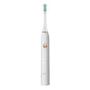 Loskii PA-213 Electric Toothbrush Rechargeable Ultrasonic Vibration Toothbrush 2 Replacement Heads