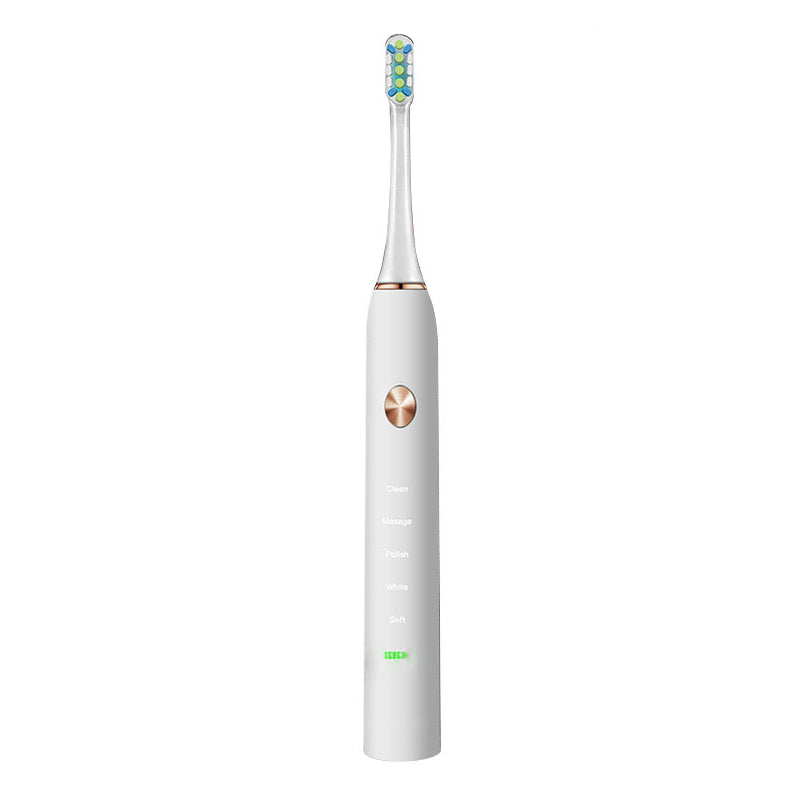 Loskii PA-213 Electric Toothbrush Rechargeable Ultrasonic Vibration Toothbrush 2 Replacement Heads