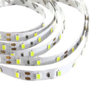 2M 36W DC 12V 120 SMD 5630 Non-Waterproof White/Warm White Red/Green/Blue LED Strip Flexible Light