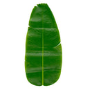 Large Artificial Plant Banana Leaf Tropical Simulation Leaves Wedding Party Home Decorations