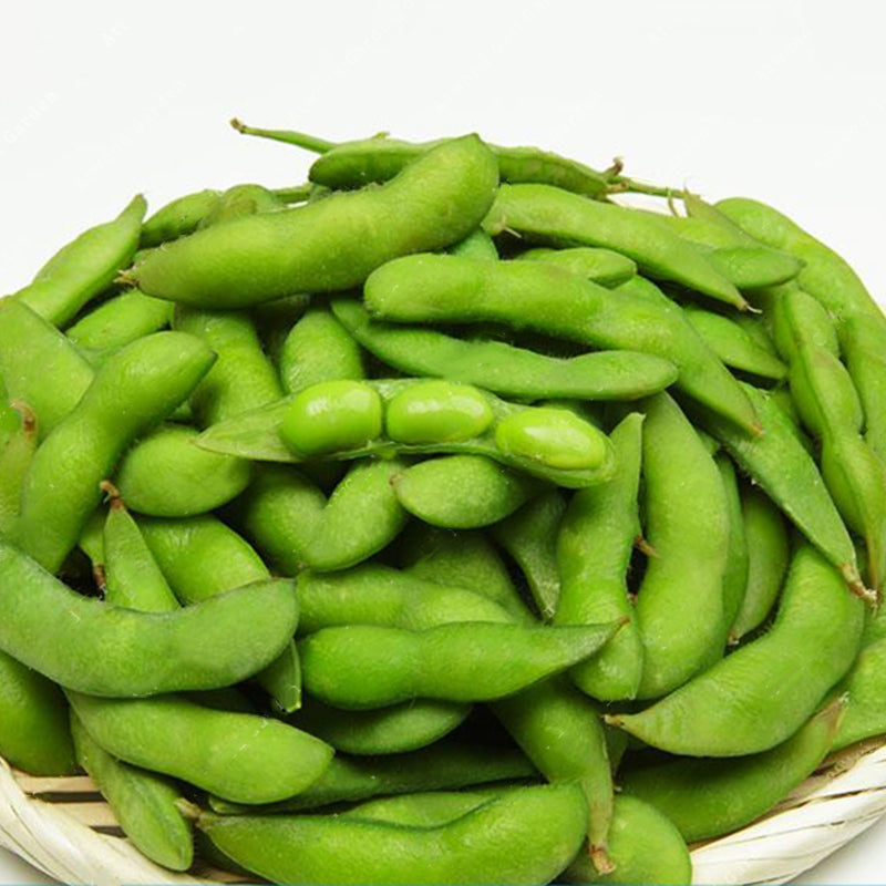 Egrow 20Pcs/Pack Soybean Seeds Rare Green Soy Bean Glycine Edamame Vegetable Annual Organic Green Glycine Max Vegetable
