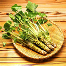 Egrow 300Pcs/Pack Wasabi Seeds Mustard Horseradish Wasabi Vegetable Home Gardening Planting For Perennials Hardy