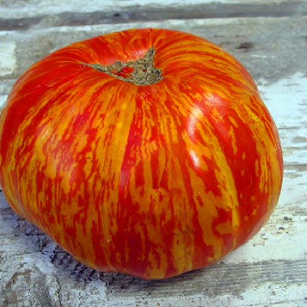 Egrow 100Pcs/Pack Red Green Yellow Tomato Seed Greenhouse Potted Organic Vegetable& Fruit Seeds