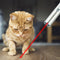 Three-in-one Flashlight White light + Laser +365 White Light USB Rechargeable Mini LED Flashlight Outdoor Work Light Laser Light