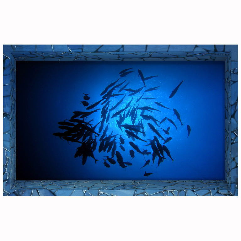 PAG 3D Bathroom Anti Slip Sea Fish Pattern Waterproof Floor Sticker Washable Shower Room Decor