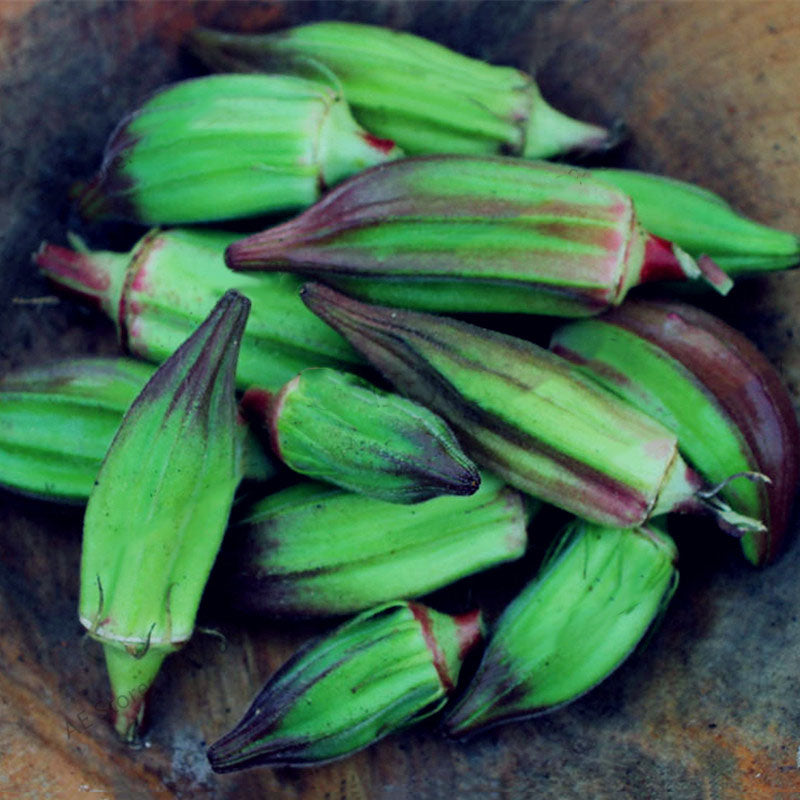 Egrow 20PCS/Pack Okra Seeds Organic Non GMO Okra Vegetable Flores For Home Garden Potted Plants