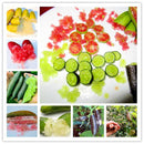 Egrow 20 Pcs/Pack Finger Limes Citrus Orange Seeds Garden Balcony Bonsai Fruit Tree Seed Planting