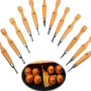 12Pcs Professional Wood Carving Chisel Tools Set Woodwork Sharpening Carpenter