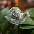 Plants Self Watering Device High Borosilicate Glass Automatic Watering Container