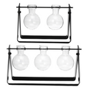 Desktop Glass Planter Bulb Vase with Classic Solid Iron Stand and Metal Swivel Holder for Hydroponics Plants Home Garden Wedding Decor