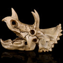 Resin Model Triceratops Dinosaur Skull Head Teaching Bone Collectible Craft Gift Decorations