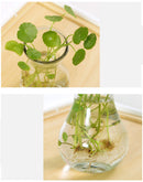 Mrosaa 14.5*7.3*5.5cm Transparent Glass Vase Flower Plant Vases Home Garden Office Decorations