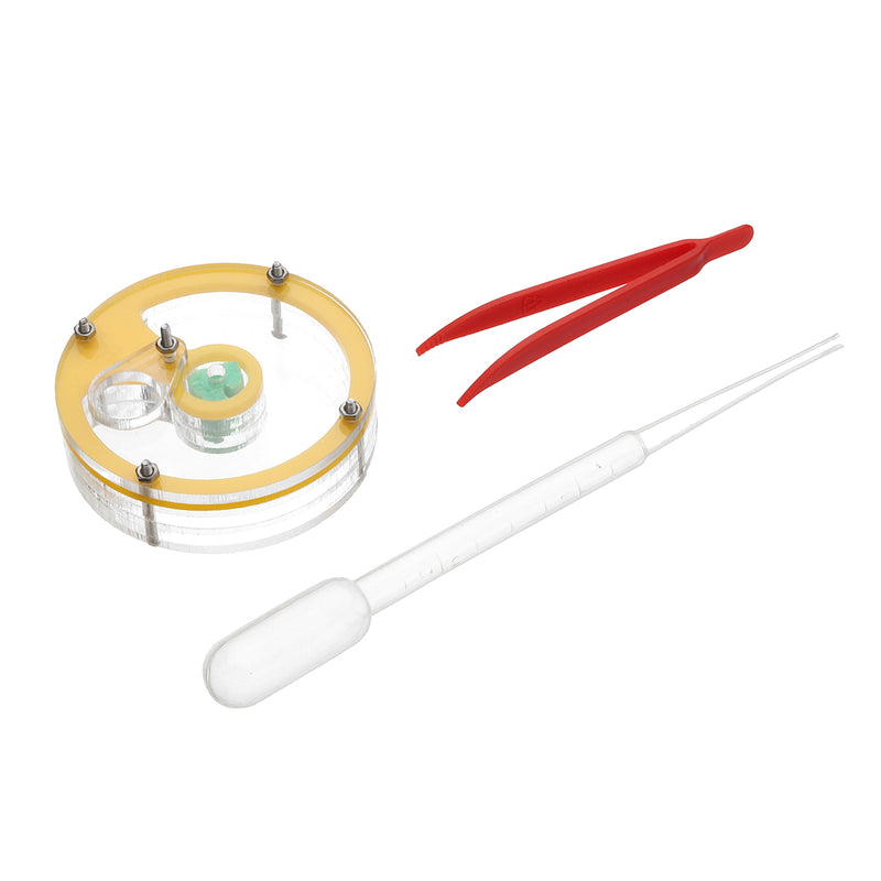 Acrylic Ant Farm Nest Formicarium Housing Ant Farm House For Ant Colony Living