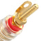 2Pcs Gold Plated Binding Post Amplifier Speaker Terminal Audio Connector For 4mm Banana Plugs