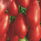 200 PCS Long Tomato Bullet Shape Tomato Plant Natural Growth Balcony And Yard Bonsai Plant Seeds