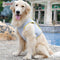 Doglemi Breathable Mesh Pet Cat Dog Harness Collars Puppy Cool