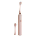 IP67 Powerful Ultrasonic Electric Toothbrush Battery Type Tooth Brush Oral Care Teeth Cleaner With Replacement Heads