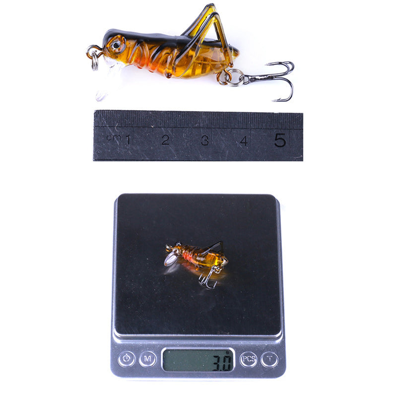 KC005-X 5Pcs/Set 3.5cm 3g Cricket Lure Insect Bait Fishing Lure Hard Bait Isca Artificial Lure