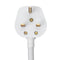 220V 2000W Hot Water Heater Immersion Element Boiler W/ Thermometer for Bath tub Swimming Pool