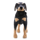Summer Pet Dog Swimwear Vest Life Jacket For Dogs Labrador Dogs Jackets Clothes Safety Pet Swimsuit