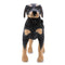 Summer Pet Dog Swimwear Vest Life Jacket For Dogs Labrador Dogs Jackets Clothes Safety Pet Swimsuit
