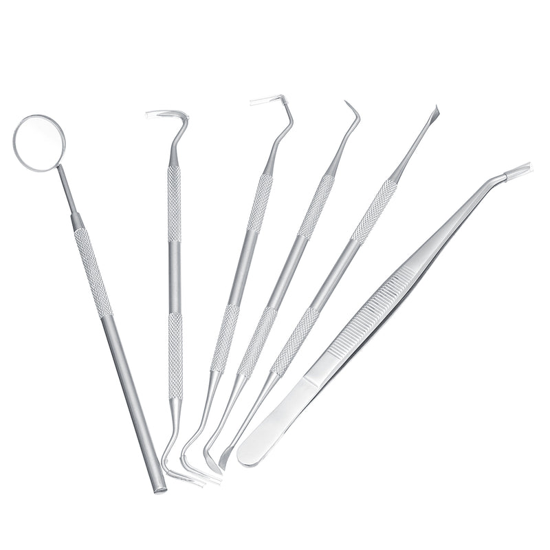 6pcs Stainless Steel Professional Dental Oral Hygiene Tool Deep Cleaning Scaler Teeth Dental Tools