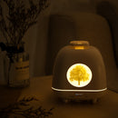 LED Ultrasonic Aromatherapy Machine Humidifier Water Oil Diffuser Purifier Spa