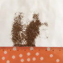 Egrow 100Pcs/Bag Petunia Seeds Petunia Plants Hanging Bonsai Mini Petunia Beautiful Flower Seeds