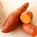 Egrow 20Pcs/Bag Sweet Potato Seeds Fresh Food Vegetable Farm Garden Plants Red Purple Potato Seed