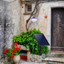 Portable Solar Panel Power LED Light Sensor Camping Lantern Outdoor Tent Fishing Hanging Emergency Lamp