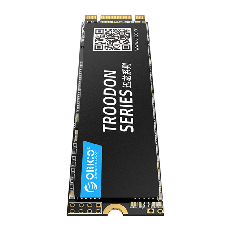 ORICO TROODON N300 Series M.2 NGFF SATA 3.0 SSD Solid State Drive 3D NAND 128G 256G 512G 1T Hard Drive R/W at 560/516 MB/s