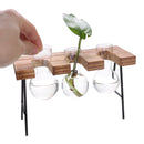 Ball Shape Glass Vase Plant Hydroponic Container Flower Bottle Table Desk Decor with Wooden Shelf Stand