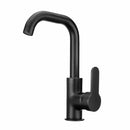 Black Copper Paint Basin Hot and Cold Faucet Kitchen Sink Rotatable Water Tap