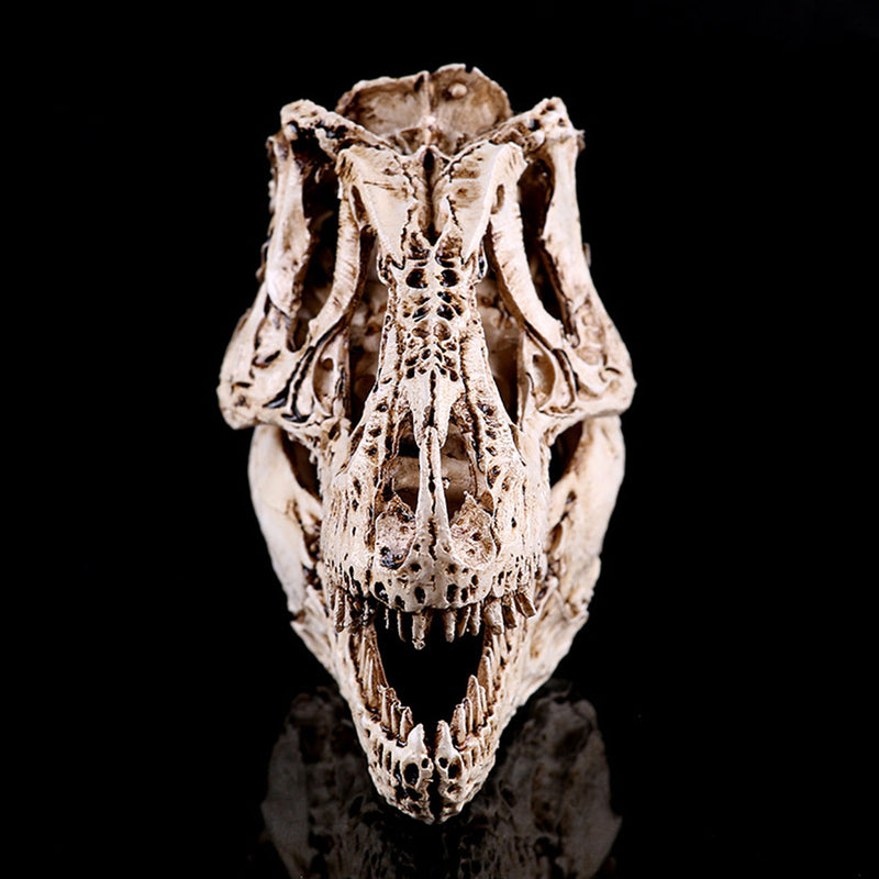 16cm Tyrannosaurus T-Rex Dinosaur Resin Skull Model Collectibles Toys Display Craft Gift