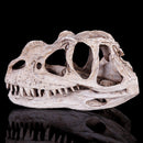 Resin Ceratosaurus Dinosaur Skull Fossil Model Collectible Craft Gift Decorations