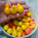Egrow 100Pcs/Pack Tomato Seeds Beautiful Yellow Pear Tomato Bonsai Potted Organic Vegetable Fruit Tomato Plants
