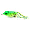 5pcs 12g 6cm Dual Hook Soft Frog Fishing Lure Top Water Artificial Bait Snakehead Fishing Crank Bait